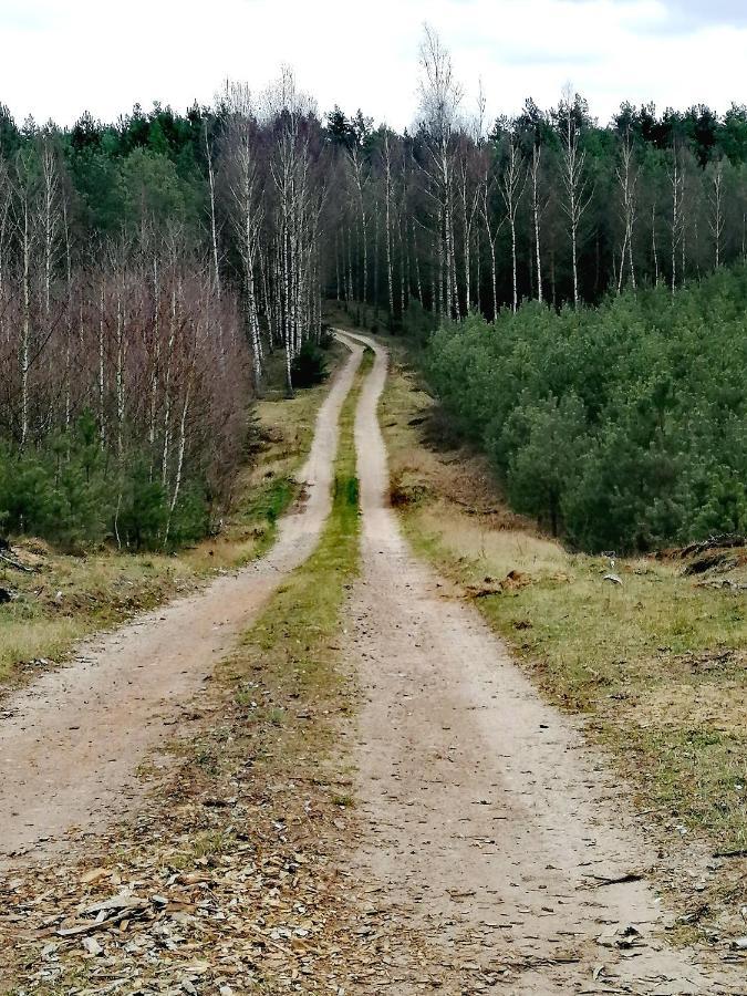 Wodamoja - Apartamenty Nad Jeziorem Stawiguda Dış mekan fotoğraf
